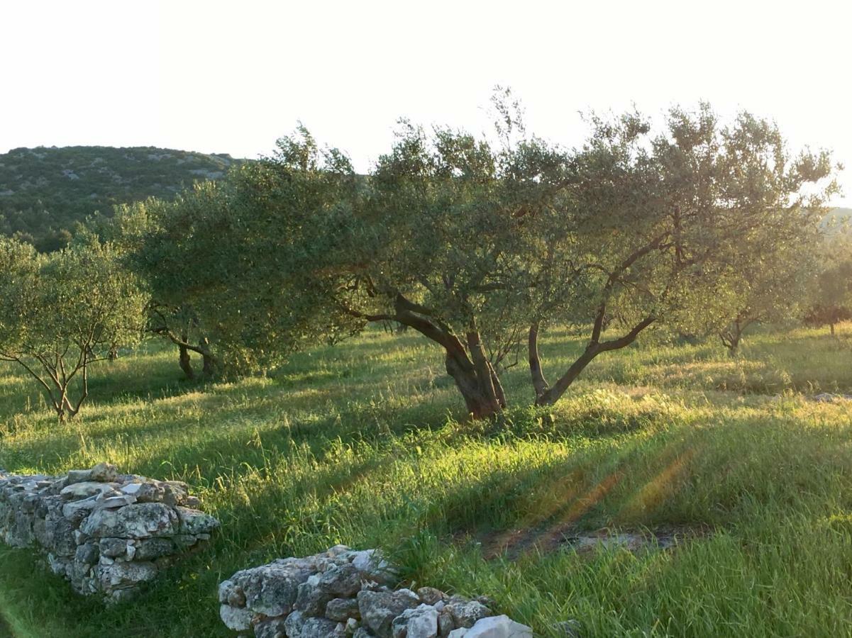 Lavanda Tribalj 外观 照片